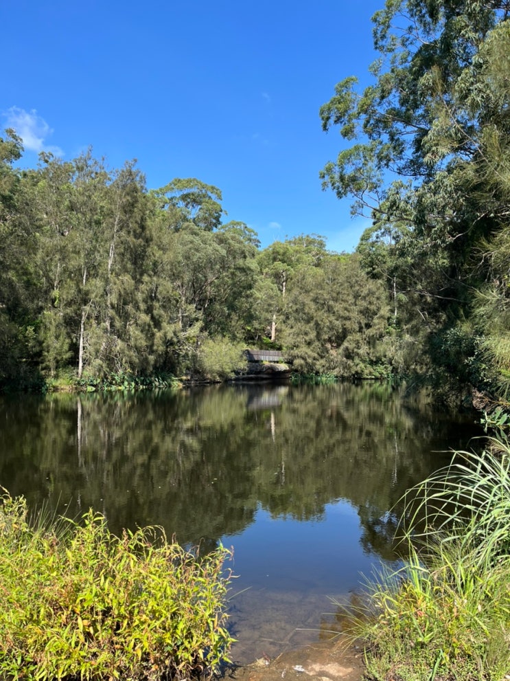 2024년 3월 31일 Lane Cove National Park