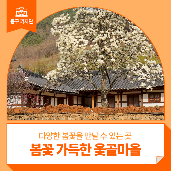 봄꽃 가득한 옻골마을의 풍경 - 백은영 기자 :: 대구 동구 가볼...