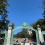 샌프란시스코여행 UC berkeley 캠퍼스 구경, BOOK Store 기념용품 구경