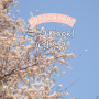 클룩 4월 할인코드 할인쿠폰 해외 봄 여행지 일본 벚꽃 여행 ♥