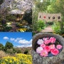 제주여행 제주가볼만한곳 꽃구경 벚꽃명소 카멜리아힐 산책 데이트