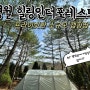 [강원도 영월] 소규모 캠핑장 “힐링인더포레스트”