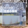 부산여행 _ 부산 회동수원지 벚꽃 구경 후 팥순이가 찾아간 콩방 / 우리밀찐빵