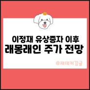 래몽래인 주가 이정재 유상증자 이후 전망은?