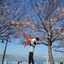 남해 벚꽃 여행, 인생샷 포토존 사진찍기 좋은곳 전망대횟집