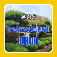 광주 동구 운림동 아파트 매매 - 무등스위트맨션