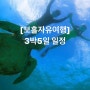 [보홀여행] 3박5일 여행일정 / 보홀 자유여행 계획표 / 보홀숙소, 맛집 공유 / 5일 총정리