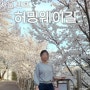 서울 숨은 벚꽃 명소 반포천 허밍웨이길 개화현황 산책