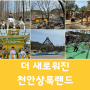 2024년 천안상록리조트 벚꽃축제와 상록랜드 5월 신규 바이킹 운영소식