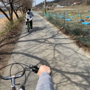 원주 벚꽃길에서 자전거 타기^^~