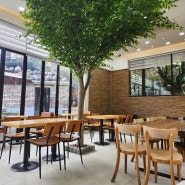인조나무/조화나무 서울 강북구 카페인 자연과 어우러지는 인테리어나무
