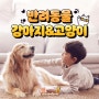 주주팜 반려동물 강아지&고양이 추천!