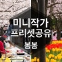[사진여행]📮MINI작가프리셋공유"봄봄"