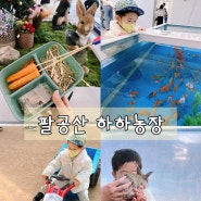 대구 팔공산 하하농장 아이와함께 동물 먹이주기체험 뛰어놀기 좋은곳!