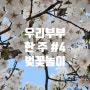 우리 부부 한 주 #4 우리도 벚꽃 구경 갔다 왔어요(가계부)