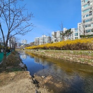 송파둘레길 (성내천 물빛광장~올림픽공원 왕복) - 2024.3