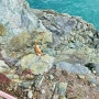 부산 오륙도 스카이워크 수선화 구딩 녹차푸딩 해파랑길 1코스 트래킹.