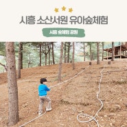 시흥 소산서원 유아숲체험으로 좋은 장소에요
