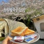 [기장] 초원숲속글램핑 부산 기장 벚꽃 글램핑 캠핑 바베큐+조식포함 내돈내산 후기