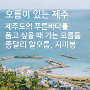 1일 2오름, 제주도의 푸른바다를 품고 싶을 때 가는 오름들, 알오름 그리고 지미봉(지미오름)