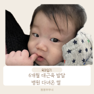 [6개월육아]대근육 발달이 빠른 아이/빨리서는 아기, 괜찮을까요?/ 병원다녀온 썰