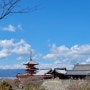 청수사(기요미즈데라)/산넨자카/오하라마을 산젠인/남바 거리/스탠딩 이자카야