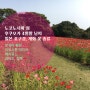 노코노시마 섬 | 후쿠오카 4월말 날씨, 일본 꽃구경 | 개화 봄꽃 종류