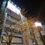 후쿠오카 벚꽃, 나카스 다자이후 벳푸 마이즈루공원 벚꽃 개화상황(2024년 4월 1일 기준)