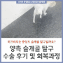 강아지 슬개골 탈구 증상에 대해 알아보기 / 서울 24시 정형외과 동물병원