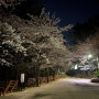 해운대 장산 대천공원 야간 산책 벚꽃 나들이, 대천공원 입구~폭포사~체육공원~입구 구간