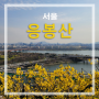 서울 응봉산 개나리 등산코스(응봉역출발) 봄꽃 명소 1시간이면 컷!