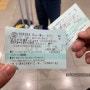 오사카 간사이공항에서 교토 가는법 하루카 티켓 예약 자유석 시간표 후기