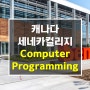 캐나다 세네카컬리지 컴퓨터 프로그래밍 유학