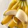 바나나 효능 1개 칼로리 빈속에 바나나 다이어트 부작용