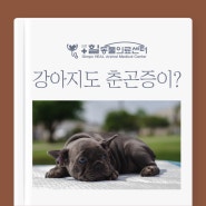 [김포동물병원] 강아지에게도 춘곤증이 오나요?