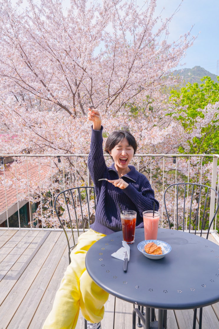 경주 벚꽃 명소 카페 오릉 대릉원 포토존 첨성대 개화시기