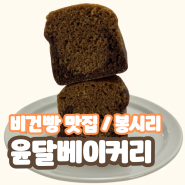 오동통한 비건빵맛집 윤달베이커리 모카 봉시리
