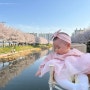 인천 벚꽃명소 서운체육공원 벚꽃길 개화 실시간 주차