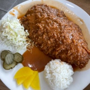 [떠닝] 이천 부발 돈까스, 잔치국수 맛집_ 소풍