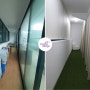 서울 강동구 성내동 30평대 상가 매장 애견분양숍 인테리어 - 내부 리모델링