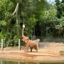[싱가포르]Singapore Zoo! 싱가포르동물원; 아이와함께 가족여행 추천!동물원 투어 및 입장권 구매 팁!