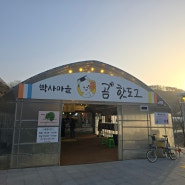 [춘천] 곰취로 만들어진 핫도그 <박사마을 곰 핫도그>