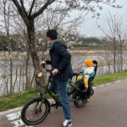 17개월 아기랑 같이 자전거 타기 / 울산 태화강 벚꽃라이딩
