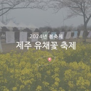 제주유채꽃축제 2024년 서귀포 봄축제 현장