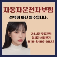 저렴한 자동차 운전자보험 비싸게 가입하지 마세요