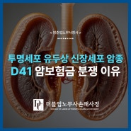 신장의 투명세포 유두상 신장세포 암종 질병코드 D41 보험금 분쟁 이유