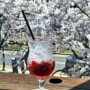 대구 앞산 벚꽃 카페 빨간우체통 따스한 봄날 가면 더 좋은 햇살 맛집