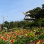 제주 표선 가볼만한곳 서귀포 애견 동반 관광지 허브동산