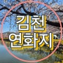 김천 연화지 벚꽃 데이트