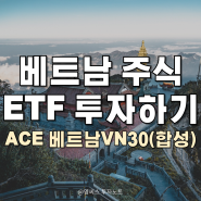 베트남 증시 주식 ETF로 투자하기, 베트남 경제전망 (ft. ACE베트남VN30합성)